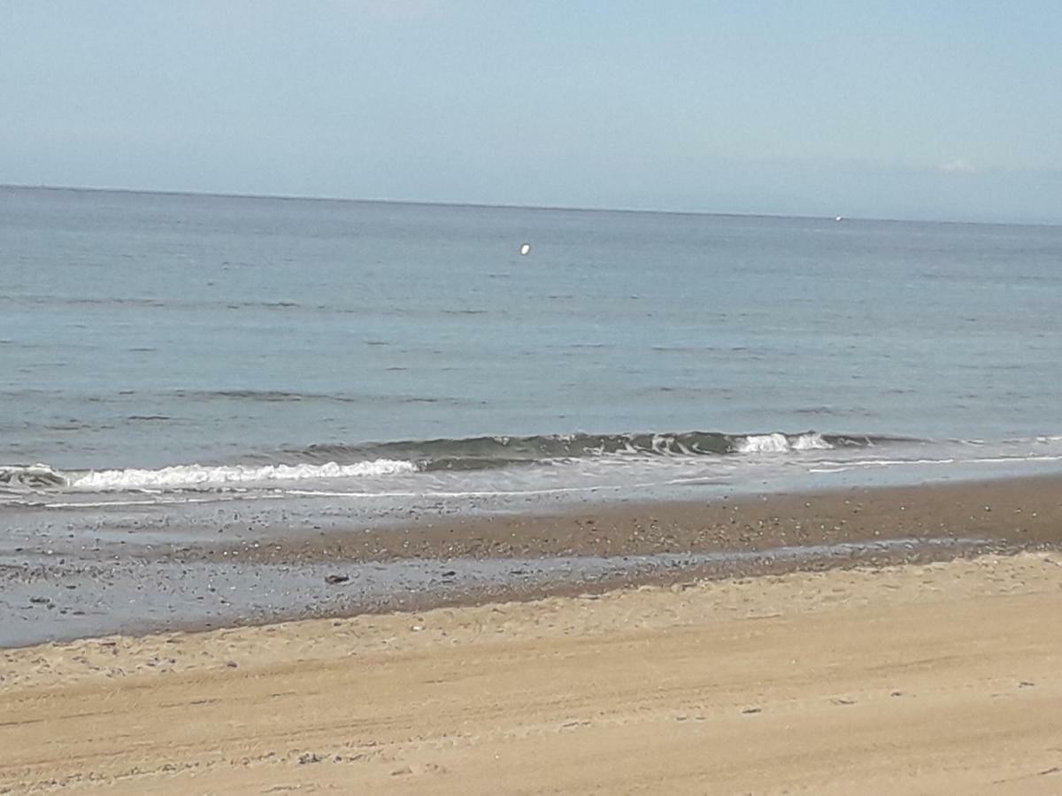 Alicate Playa. * Marbellac
