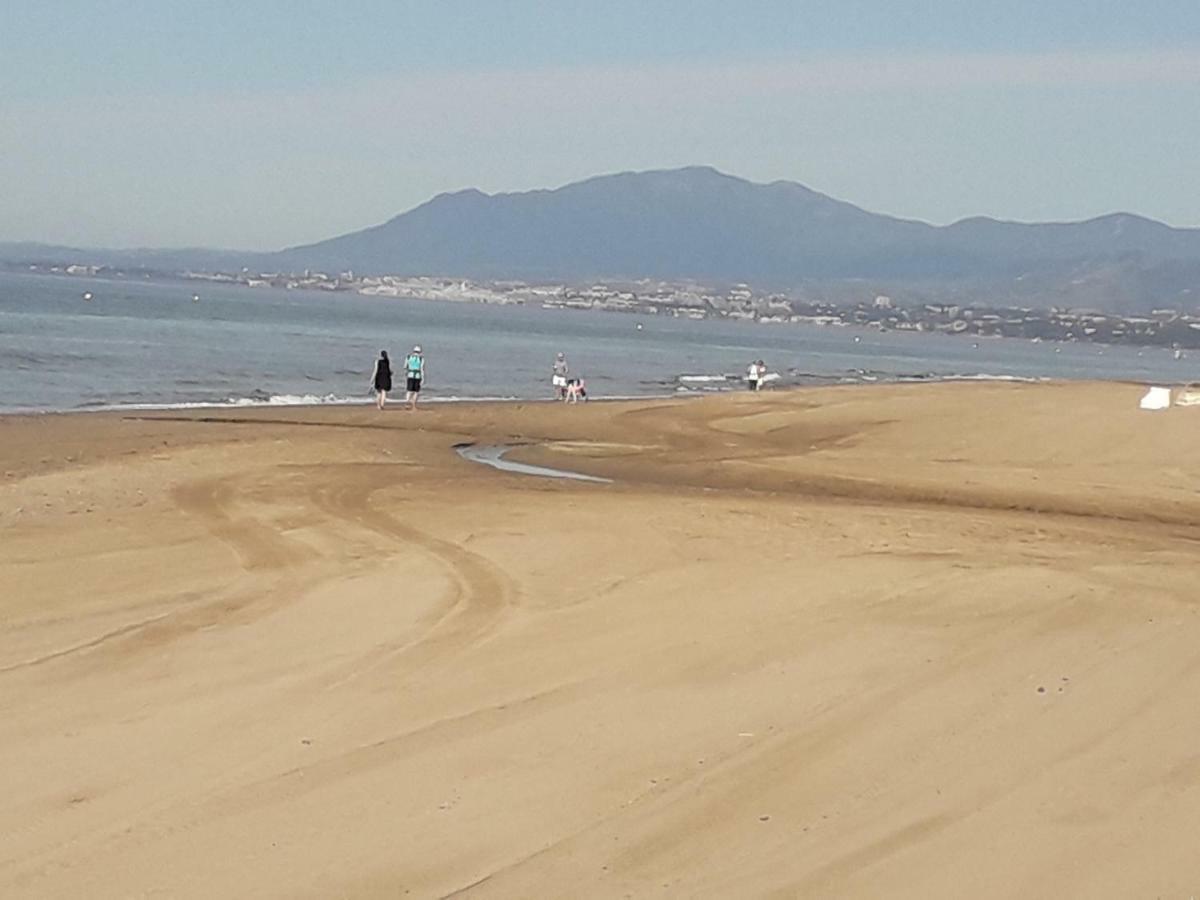 Alicate Playa. *